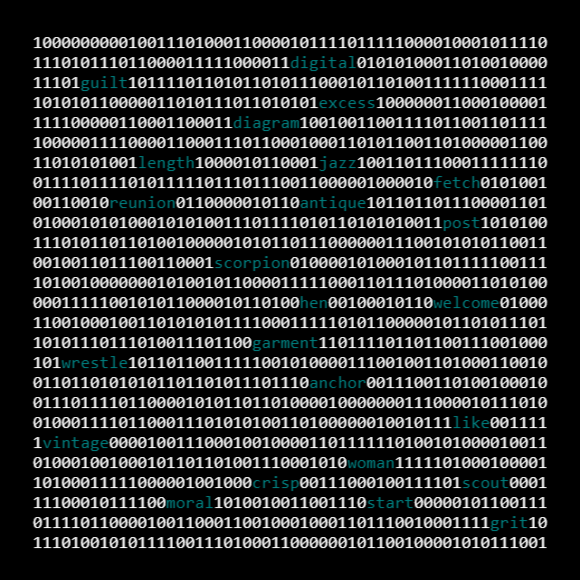 Bitcoin ordinal collection. An inscription as a bunch of digits shaped as square with BIP39 words randomly showed among them